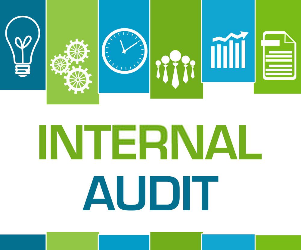 Basics of Internal Audit